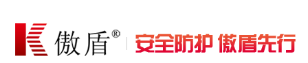 【CDN关键词】网络安全问题受关注,信安CDN维稳互联网传输!-DVBCN