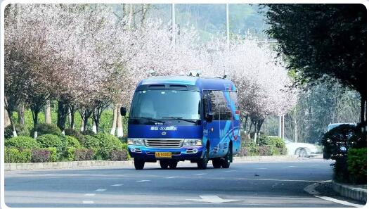 IPTV、VR、4K超高清……  中国电信5G直通车来了-DVBCN