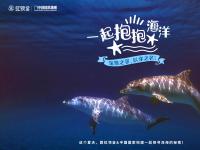 中国国家地理IP跨界OTT 虹领金创大屏新玩法