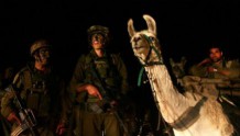 以色列陆军的骆驼要失业了，取代它们的是无人车