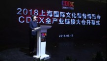 2018 CDEX 上海国际文化装备博览会隆重开幕