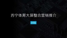 PPTV董鹏:苏宁体育大屏整合营销推介(PPT)