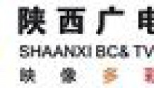 陕西广电王立强辞任总经理职务,由韩普接任