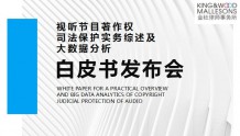 重磅！第六届中国网络视听大会发布《视听节目著作权司法保护实务综述及大数据分析白皮书（2013–2017）》