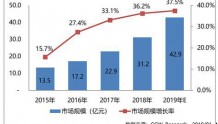 2018年视频云服务市场格局进入整合阶段,未来新兴技术将促进头部厂商脱颖而出
