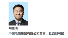 刘桂清新任中国电信董事、党组副书记