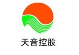 天音控股:互联网彩票de无冕之王And虚拟现实影子股