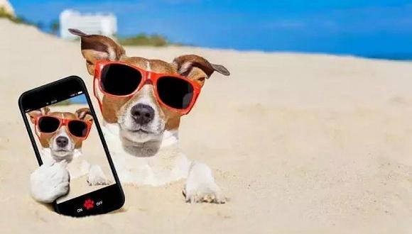 热闹的直播，HOW’S IT GOING TO END