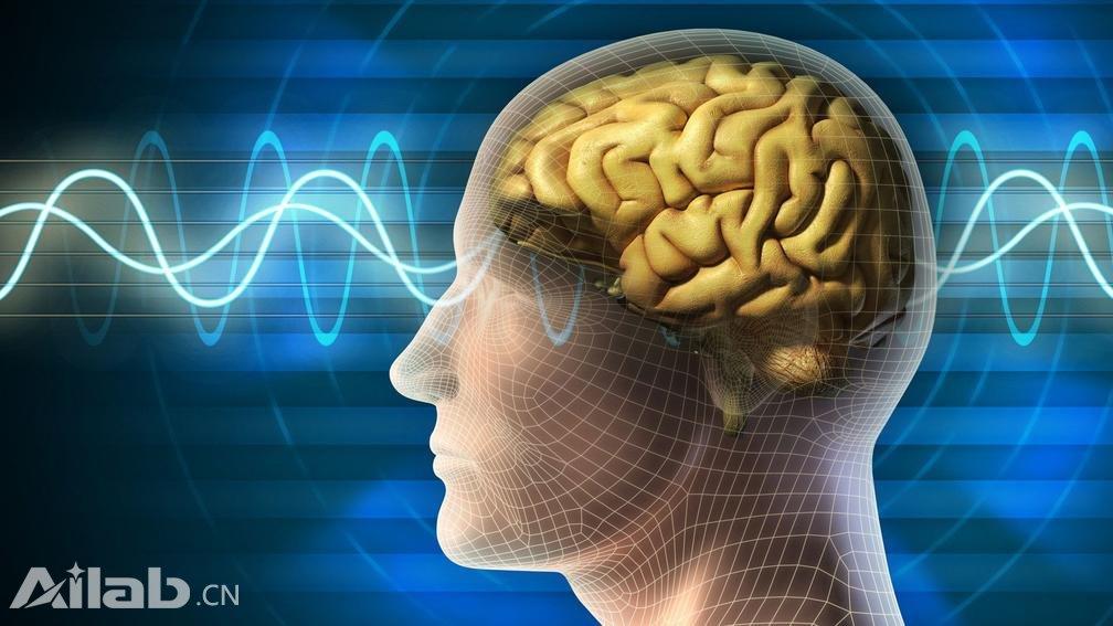 科学家开发新AI系统，可读取大脑信息并表达复杂思想