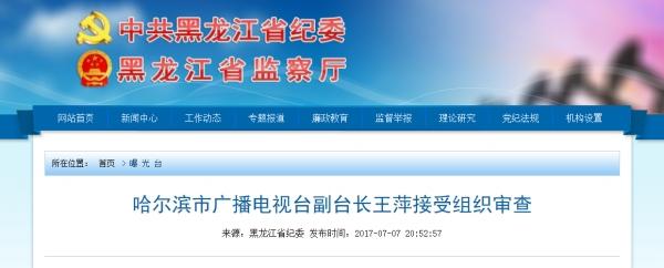 哈尔滨广播电视台副台长王萍接受审查