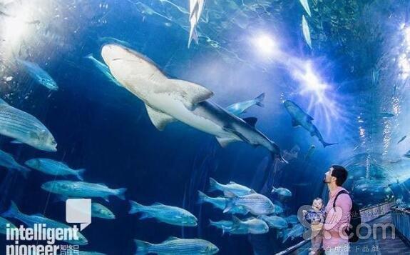 旧金山海湾水族馆引入了新的AR和VR技术
