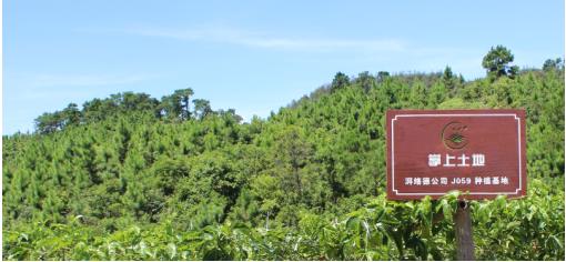 农副B2C平台：掌上土地获中科院云计算中心下属孵化器重点扶持！