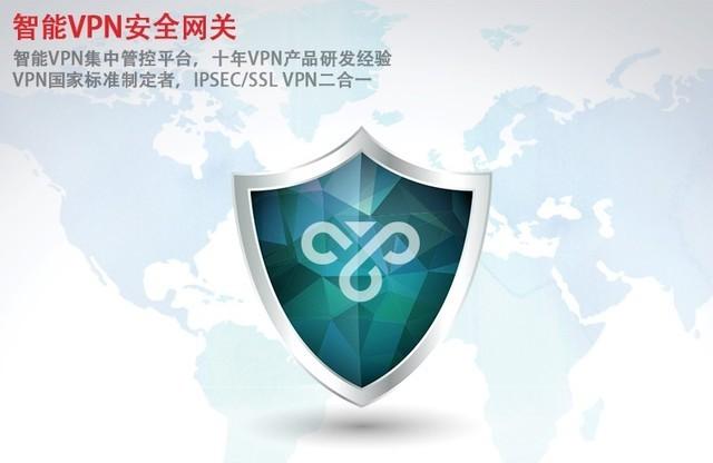 IPSEC/SSLVPN安全网关，中科网威VPN组网方案