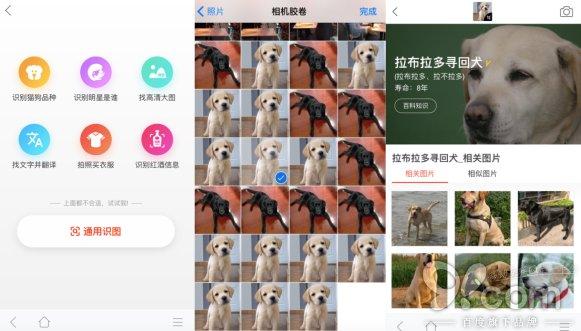 搜狗、谷歌相继推出狗脸识别 面孔识别黑科技拯救“狗盲症”