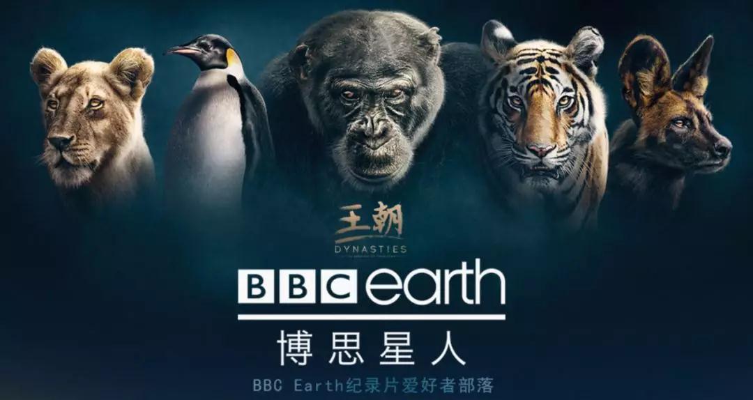 腾讯BBC深化合作，联手打造粉丝社区