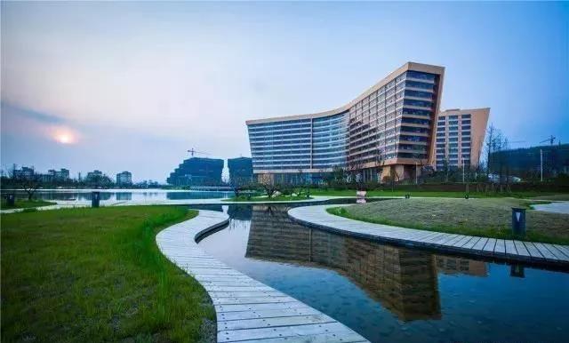 官宣|艾拉比一周岁最好的贺礼：合肥子公司宣布成立！