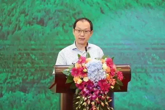 北京广电局局长杨烁：关于促进智慧广电发展行动方案