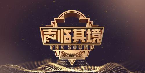 湖南卫视综艺《声临其境3》被指音乐侵权