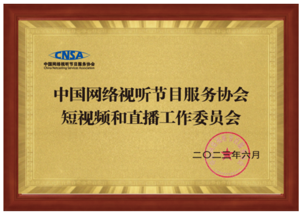 中国网络视听节目服务协会新设立（调整）三个分支机构